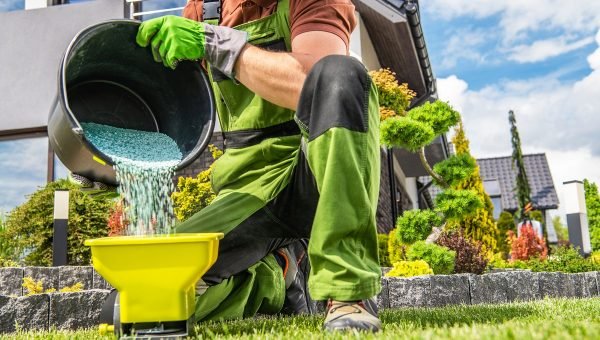 Caucasian Garden Worker Preparing Grass Lawn Fertilizer. Spring Time Fertilizing Job.