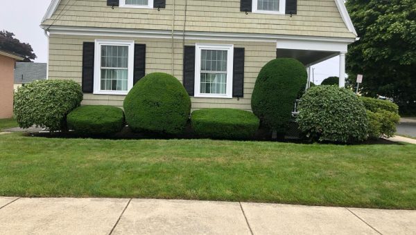 Imagen de WhatsApp 2025-03-17 a las 16.34.49_05206c37-1