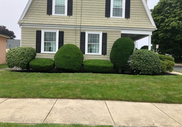 Imagen de WhatsApp 2025-03-17 a las 16.34.49_05206c37-1