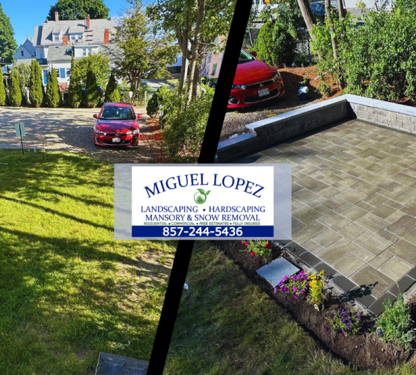 Simple Colourful Before and After Color Grade