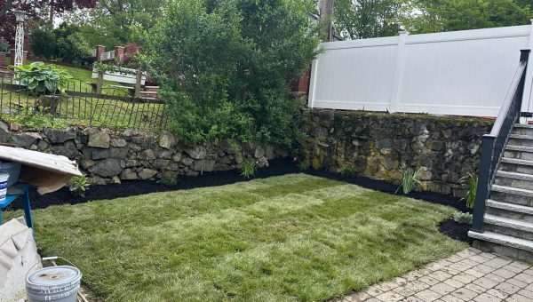 WhatsApp Image 2026-01-12 at 12.12.23 PM