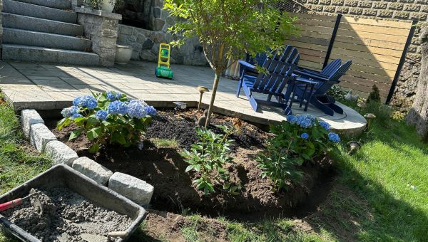 WhatsApp Image 2026-01-12 at 12.15.29 PM