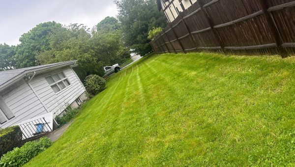 WhatsApp Image 2026-01-12 at 12.33.04 PM