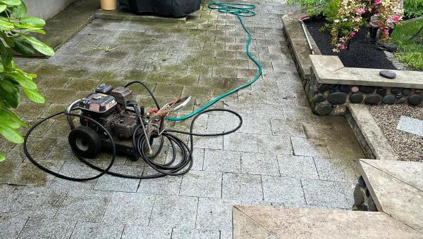 WhatsApp Image 2026-04-08 at 10.37.01 AM