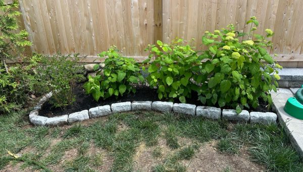 WhatsApp Image 2026-04-08 at 10.45.04 AM