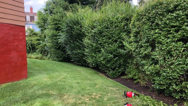 WhatsApp Image 2026-04-19 at 5.31.57 PM